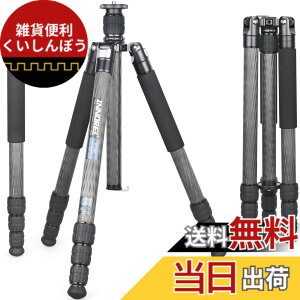 �y���������zINNOREL RT85C �J�[�{�� �O�r 173CM �g���x���O�r �v���� �i�b�g���b�N�� �G���x�[�^�[�� �ω׏d 25KG �l�i�r ��r�ώ� �p�C�v�a32mm ���y�� �^���� �o�R ��O �쒹 �B�e �X�p�C�N �O�r