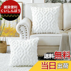�y���������zOTOSTAR �N�b�V�����J�o�[ 55x55cm �k�� 2���Z�b�g �V���[�g�E�[�� �x���x�b�g ������� ���� �_�炩�� �� �Ђ��` ���_�� �G���K���g �t�@�X�i�[ �C���e���A �\�t�@�[�p�N�b�V����