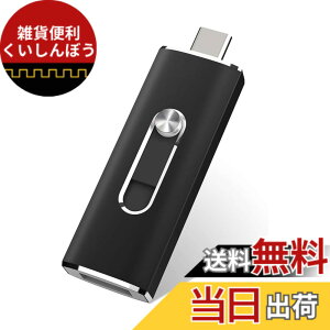 �y���������zUSB������256GB USB 3.1 2in1 Type-C ������ �t���b�V���h���C�u(�u���b�N)