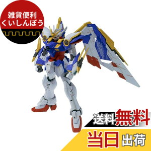 �y���������zMG �V�@����L�K���_��W Endless Waltz �E�C���O�K���_��Ver.Ka 1/100�X�P�[�� �F�����ς݃v�����f��