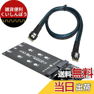 �y���������zNFHK SFF-8654 SLIMLINE SAS NVME PCIe SSD SATA�A�_�v�^�ւ�U2�L�b�gNGFF M�L�[�ւ̃P�[�u��