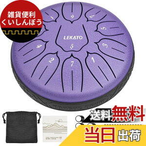 �y���������z�X���b�g�h���� �X�`�[���^���O�h���� LEKATO �����h���� 11�� 6�C���` �Ŋy�� �}���b�g ���[�o�b�O�t�� �ґz ���K �T (�p�[�v��)