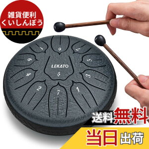 �y���������z�X���b�g�h���� �X�`�[���^���O�h���� LEKATO �����h���� 11�� 6�C���` �Ŋy�� �}���b�g ���[�o�b�O�t�� �ґz ���K �T (�l�C�r�[�u���[)