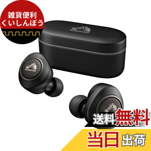 �y���������zJVC�P���E�b�h Victor HA-FW1000T ���C�����X�C���z�� Bluetooth �m�C�Y�L�����Z�����O WOOD�V���[�Y �ő�27h�Đ� �O����荞�� �؂̐U���̗p �}�C�N�t�� �h��