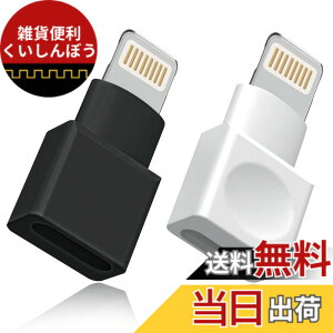 �y���������z���C�g�j���O�����P�[�u�� �A�_�v�^�[ 2�_�p�b�N Apple(�A�b�v��) MFI�F�� iPhone�[�d�� �����P�[�u�� �I�X�^-���X�^ �h�b�N �G�N�X�e���_�[ iPhone 13 12 11 X XS XR 8 7 6 5 iPad�Ή� �I�[�f