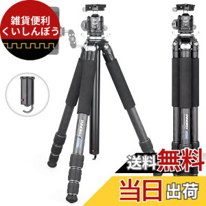 �y���������zINNOREL �J�����p �J�[�{�� �O�r N36���R�_�� �L�b�g�Z���^�[�|�[���t�� 20KG�ω׏d 10-168CM���� 28/25/22/19CM�p�C�v�a �g���x�� �^���� �iGT284C+N36)�j