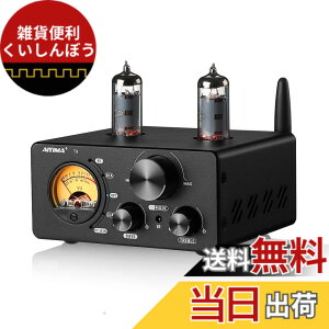 �y���������zAIYIMA T9 Bluetooth 5.0 100W*2�`���[�u�A���v 2.0�`�����l�� �^��� USB DAC�X�e���IHiFi�z�[���I�[�f�B�I�f�W�^���A���v RCA/COA/Opt/PC-USB�AVU���[�^�t��