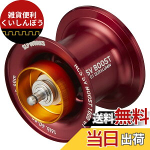 �y���������z�_�C��slp���[�N�X(Daiwa Slp Works) RCSB SV BOOST 1000 G1 ���b�h