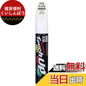 �y���������zSOFT99 (�\�t�g99) �z���_�yNH883P�z�v���`�i�z���C�gP ��C�y�C���g �^�b�`�A�b�v�y�� 99�H�[ H7720 12ml �����ԓh�� 17720