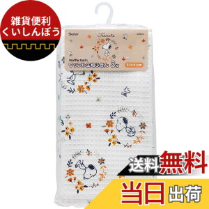 �y���������z�X�P�[�^�[(Skater) ���b�t�����n�ӂ���3�� �X�k�[�s�[ 31x41cm KFWC3-A