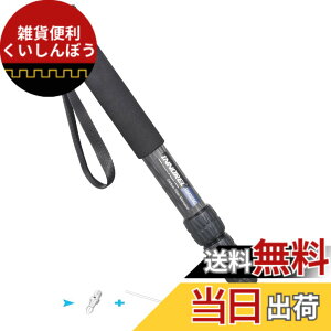 �y���������zINNOREL ��r �J�����p �J�[�{���� 26lb/12kg�ω׏d 5�Z�N�V�����L�k�\ �R���p�N�g �֗� �y�� ���s�p�iRM325C�j