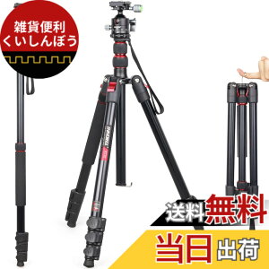 �y���������z��჌�t�O�r INNOREL �g���x���O�r ��r�ώ� �A���~�� 15KG�ω׏d 197CM�ő��ƍ��� 36MM��d�S�_��t�� �R���p�N�g�O�r �J�������~���[���X�p �y�� RT30+D36