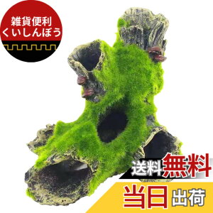 �y���������zCharmoon ���� �I�u�W�F ���� �� �� �B��� �V�F���^�[ ���A�� �u�� �A�N�A���E�� �I�[�i�����g (�^�C�v1)