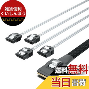 �y���������z10Gtek Mini SAS 6G���� 36Pin(SFF-8087) �I�X to 4x SATA 7Pin ���X �t�@���A�E�g �P�[�u��, 0.8���[�g��