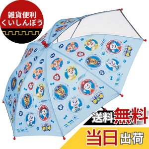 �y���������z�X�P�[�^�[(Skater) �q���p �P 45cm �p�E�p�g���[�� 5~6�ˌ��� ��105~115cm ���w�� ���E���m�ۂł��铧�����t�� �w�����݂ɂ�����J���� 8�{�� �j�̎q UB45-A