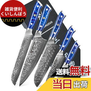 �y���������zSANMUZUO Chef Cooking Knives Set- Kitchen Knife Set of 5 Piece - Ultra-Sharp VG10 Damascus Steel & Resin Handle - Xuan Series (Sapphire Blue)