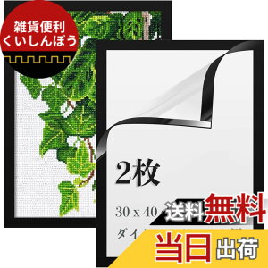 �y���������zLEADINTOP �_�C�������h�A�[�g �t�H�g�t���[�� 2�� �}�O�l�b�g�t�� 30 x 40 cm �_�C�������h�G��p �ǂ������Ȃ� ���ȔS���� �Ǌ|�� �f�B�X�v���C�t���[�� �ʐ^�t���[�� �\���� �|