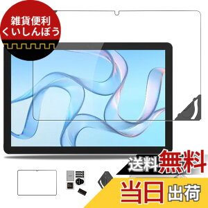 �y���������zWIRELESS GATE wg_tablet_01 �p �t�B���� �ی�t�B���� �K���X�t�B���� �yNOUKAJU�z Hi10 XPro 10.1�C���` �����K���X�t�B���� ���t���t���[���t�� �����ߗ� �d�x9H ��U�h�~ �C�A�h�~ �w��