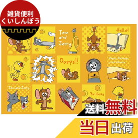 【送料無料】スケーター(Skater) 子供用 レジャー シート 一人用 Sサイズ 遠足 60x90cm トム&ジェリー ハッピー VS1-A