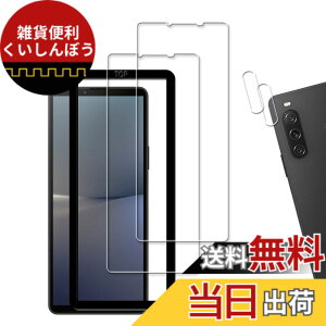 �y���������z�y2+2���Z�b�g�z�K�C�h�g�t�� KPNS ���{�f�ސ� �����K���X Xperia 10 V 2023 SO-52D SOG11 �p �K���X�t�B���� �J�����t�B���� �J�o�[ �ی�t�B����