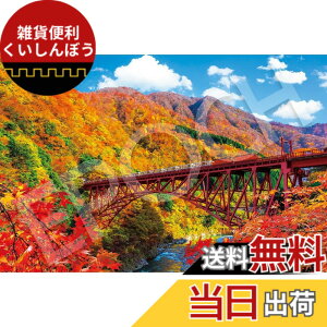 �y���������z�G�|�b�N�� 1000�s�[�X �W�O�\�[�p�Y�� ���{���i �H����̍������J�ƃg���b�R�d�ԁ[�x�R (50x75cm) 09-053s �̂�t�� �w���t�� �_�����t�� EPOCH