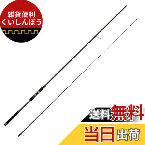 �y���������zAbuGarcia (�A�u�K���V�A) �\���e�B�[�X�e�[�W�v���g�^�C�v �T�[�t�X���C���[ SaltyStageProtoType SURFSLAYER XSFS-1082M