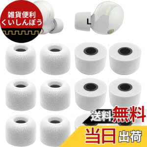 �y���������z�m�C�Y�L�����Z���ᔽ���C���[�s�[�X Sony�p 1000xm5�p WF-C700n�p WI�V���[�Y�C���z���p WF�V���[�Y�C���z���p �|���E���^���t�H�[���f�� �E���^�����C���[�s�[�X XM5�p �yL�T�C�Y 6