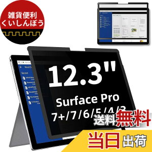 �y���������zSurface Pro 7+/Surface Pro 7 / 6 / 5 / 4 12.3�C���` �p�� �S���� �v���C�o�V�[�t�B���^�[ �`�����h�~�t�B���^�[ �u���[���C�g�J�b�g �p�\�R�� PC ���j�^�[ �t���ی�t�B���� ���˖h�~ ���E