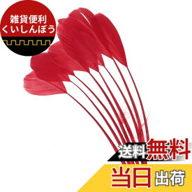 【送料無料】PATIKIL 15-20cm ガチョウの毛 50個入り バルク天然羽毛 工芸 カーニバル 手作り 衣装 ウエディング パーティー スタイル4 レッド