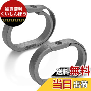 �y���������z[KeyUnity] �L�[�����O �`�^�� ���^ �ȉ~�` 24.9mm 2���� KA31 �A�������O �~�j�t�b�N ���E �N�C�b�N�����[�X �V���o�[ �y�� �L�[�z���_�[ ���� �t�b�N ���E �R�l�N�^�[ ������� �K