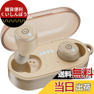�y���������zTOZO T10 �C���z�� bluetooth ���C�����X�C���z�� ���ቹ�� �g�F�n���� ���^�y�� �}�C�N�t�� �ʘb��ENC �m�C�Y�L�����Z�����O �J�X�^��EQ �A�v���Ή� IPX8�����̖h�����\ �ő��55����