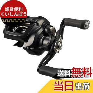 �y���������z�_�C��(DAIWA) �x�C�g���[�� 24TATULA TW 100HL