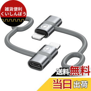 �y���������zRAVIAD Type C to ���C�g�j���O �ϊ��A�_�v�^ (2�Z�b�g) 36W PD�}���[�d PD�`�b�v���� �����f�[�^�]�� USB-C i-Phone �ϊ��R�l�N�^ �A���~�����O�� �V���R���o���h�݌v �^�C�vC����iOS�ϊ�