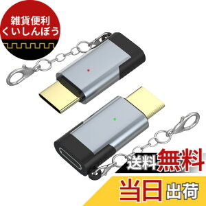 �y���������zARKTEK ���C�g�j���O �^�C�vc �ϊ��A�_�v�^�[ 2�Z�b�g ���C�g�j���O���� usb-c �ϊ� lightning (���X) type-c (�I�X) �ϊ��R�l�N�^ iPhone17 16�V���[�Y Galaxy S23 Note 20 Xperia 1 Pixel 7 Mate 40 OnePl