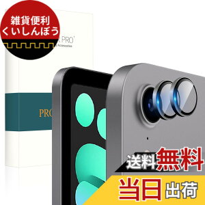 �y���������zPRODELI For iPad (A16) 11���� 2025 /iPad Air 11/13 M3 2025 ��7���� ��p �J�����t�B���� iPad mini7 (2024)/mini6 (2021)/iPad Air 6(2024)/Air 5(2022)/Air 4(2020)/iPad 10(2022) �p �����Y�t�B���� �A���~�������{AR