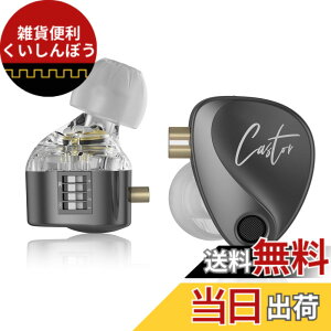 �y���������zKZ Castor �J�i���^ �C���z�� KZ �C���C���[���j�^�[ �C���z�� �f���A���_�C�i�~�b�N�h���C�o�[ �~���[�W�V���� �C���C���[�C���z�� 2dd �`���[�j���O�X�C�b�` �ᔽ���C���[�`�b�v