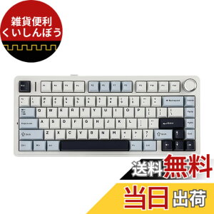 �y���������zEPOMAKER x Aula F75 �Q�[�~���O�L�[�{�[�h �K�X�P�b�g ���J�j�J���L�[�{�[�h 5�w�p�b�h���m�u�t�� 75% ���C�����X �z�b�g�X���b�p�u�� Bluetooth/2.4GHz/USB-C RGB �Z�K�F�؎擾 (Light Blue, LEOB