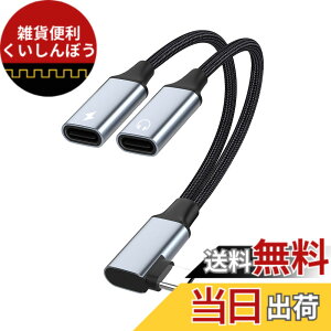 �y���������z�y2in1�zType-C L�^�C���^�t�F�[�X-C�^�C���z���ϊ��P�[�u��Type-C�C���z���W���b�NUSB C PD�}���[�d�A�_�v�^�[�����ʘb/���ʒ���/���y�C���z����ҍ��ϋv�i�C�����҂ݐڑ��P�[�u��