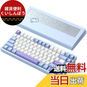 �y���������z�yWOBKEY Rainy 75�L�[�{�[�h�z�J���̂悤�ȑŌ��� ���J�j�J���L�[�{�[�h 3WAY�ڑ� OS�݊��� �z�b�g�X���b�v��VIA�̑Ή� �J�X�^�}�C�Y�� �K�X�P�b�g�f�U�C�� �A���~�j�E���f�ގg�p RG