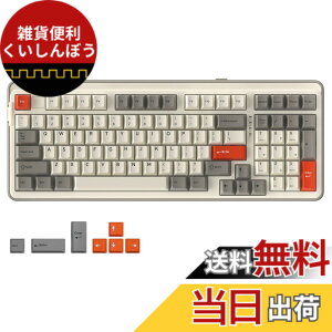 �y���������zDAREU EK98PRO ���J�j�J���L�[�{�[�h ���� �e���L�[�t�� �Q�[�~���O�L�[�{�[�h 2.4G���C�����X/Bluetooth/�L��USB�ڑ��\ 96%�p��z�� �K�X�P�b�g�}�E���g RGB �z�b�g�X���b�v�Ή� DREAM HI