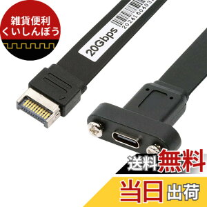 �y���������zNFHK USB 3.2 20�s�� Type-E IDC �t�����g�p�l���w�b�_�[����USB-C Type-C���X�����P�[�u�� 20Gbps �p�l���}�E���g�l�W�t��