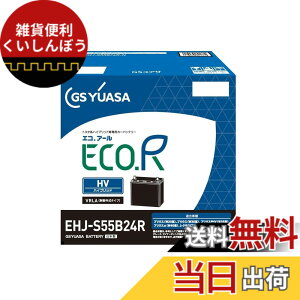 �y���������zGS���A�T (�W�[�G�X���A�T) EHJ S55B24R ECO.R HV �g���^�n�n�C�u���b�g��p�Ԑ�p ��@�p�o�b�e���[ GS YUASA 2024�N���f��