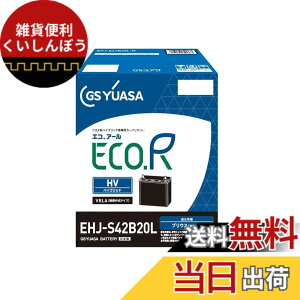 �y���������zGS���A�T (�W�[�G�X���A�T) EHJ S42B20L ECO.R HV �g���^�n�n�C�u���b�g��p�Ԑ�p ��@�p�o�b�e���[ GS YUASA 2024�N���f��