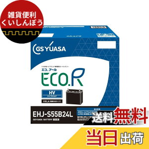 �y���������zGS���A�T (�W�[�G�X���A�T) EHJ S55B24L ECO.R HV �g���^�n�n�C�u���b�g��p�Ԑ�p ��@�p�o�b�e���[ GS YUASA 2024�N���f��