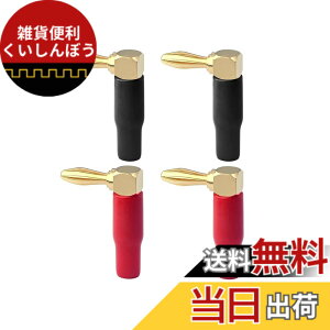 �y���������zALLVD �o�i�i�v���OL��4��24 k���b�L�I�[�f�B�I�R�l�N�^�X�s�[�J�[�q�ڑ��X�s�[�J�[�q�P�[�u���R�l�N�^���l�W�≏�X���[�u