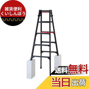 �y���������z���J��H��(Hasegawa) �͂������p�L�k�r��(�㕔����E�����^�b�`�o�[�t) �u���b�N�V���K�}�� �����O�X�g���[�N 5�i RYRLB-15 (1.01~1.746m) (10770)