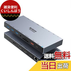 �y���������zSelore USB C �h�b�L���O�X�e�[�V���� type c HDMI 2�� Dock�y15 in 1�z DP DP1.4 4K 2��� 3��ʃ��[�h �f���A�� �g���v���f�B�X�v���C 100W �}���[�d �L��LAN RJ45/3.5mm �I�[�f�B�I�W���b�N/USB-A 3.