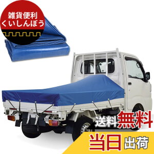 �y���������zKUKUAN �ב�V�[�g �h���V�[�g �ב�J�o�[ �G�X�e�����z �h���d�� 580g/���� PVC���z ���Ă��h�~ �y�g���b�N�p (�u���[, 1.9mx2.1m)