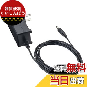 �y���������zZOOM �Y�[�� AC�A�_�v�^�[ DC9V�o�� AD-16