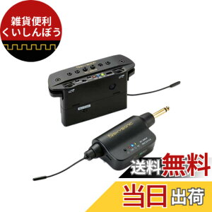 �y���������z�y���K�i�zSKYSONIC �X�J�C�\�j�b�N WL-800JP �A�R�[�X�e�B�b�N�M�^�[�p���C�����X�E�s�b�N�A�b�v